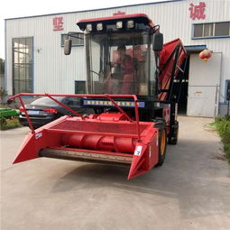 自走式青儲機 現(xiàn)代農(nóng)業(yè)的高效秸稈收割與青貯解決方案